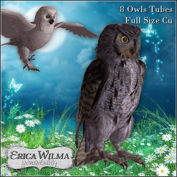 EW Owls cu